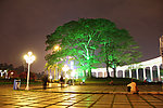 公园夜景