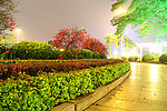 公园夜景