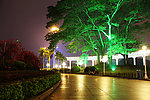 公园夜景