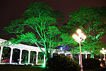 公园夜景