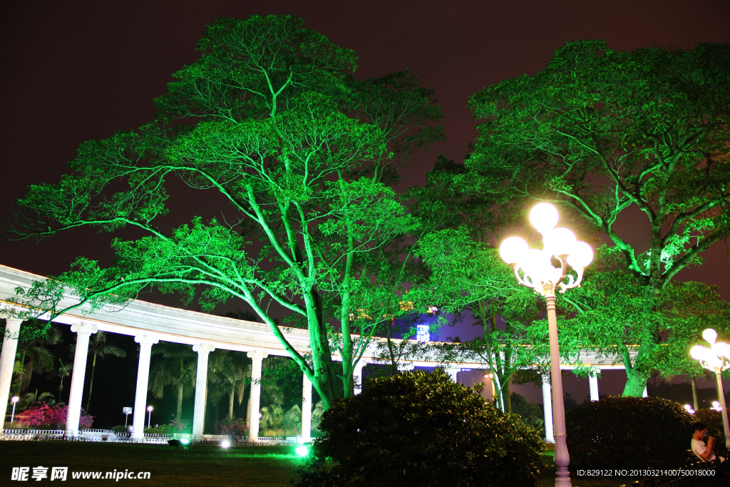 公园夜景