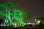 公园夜景