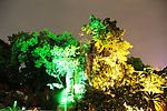 公园夜景
