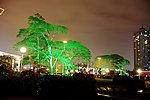 公园夜景