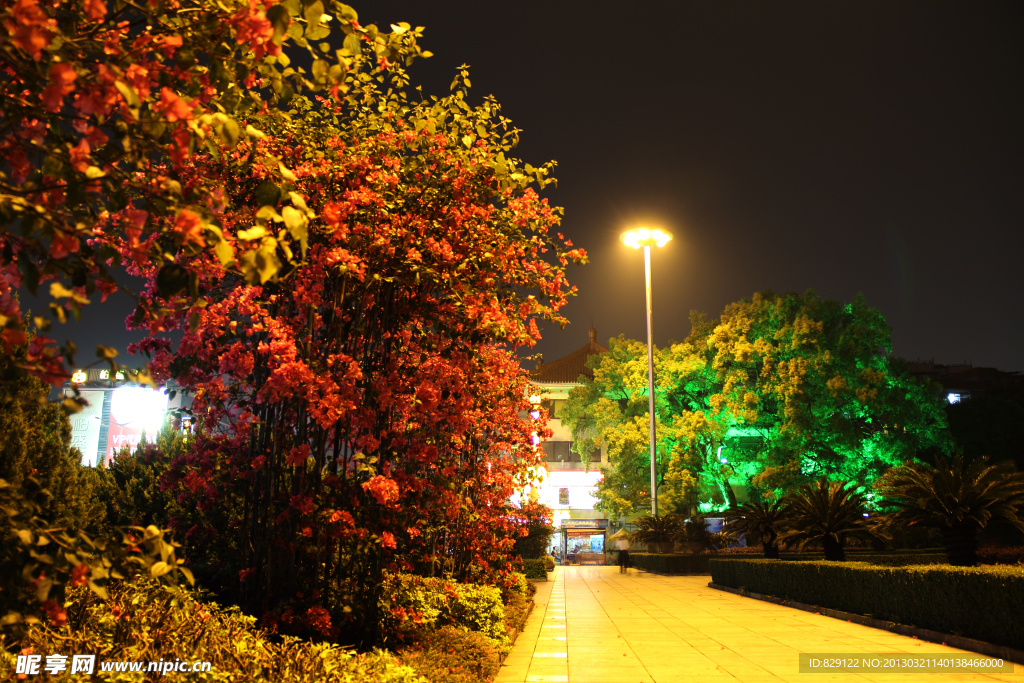 公园夜景