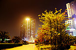 建筑夜景