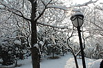 陶然亭雪景