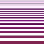 矢量条纹
