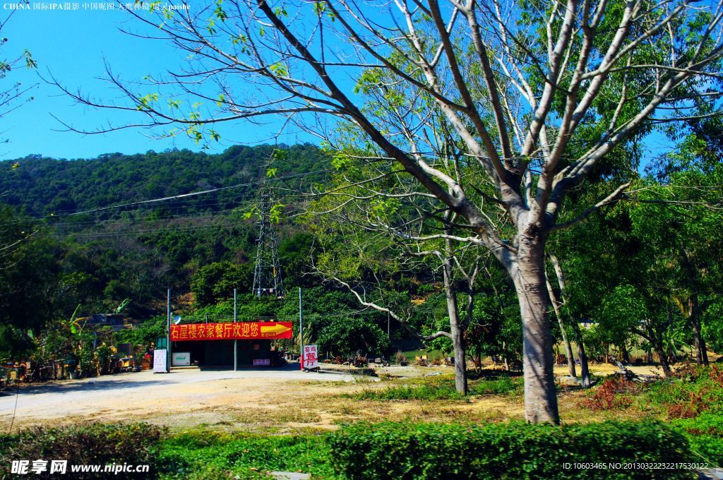 龙岗南澳一路风景风光