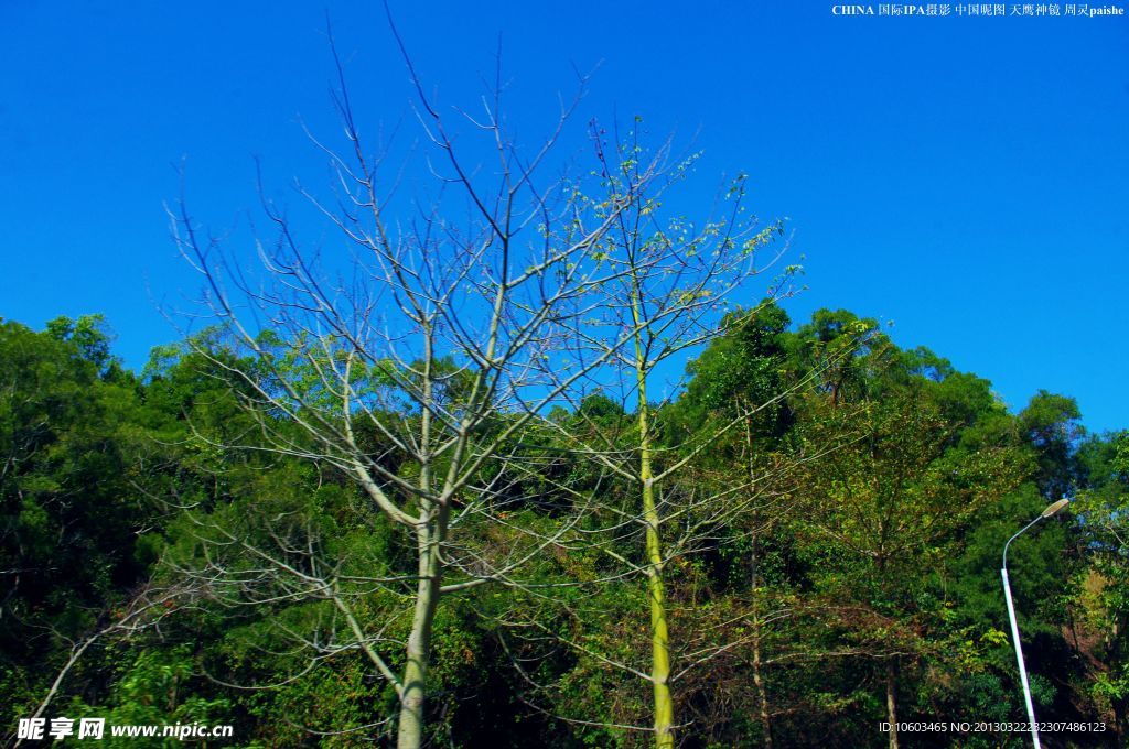 龙岗南澳一路风景山水