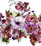 分色花瓣