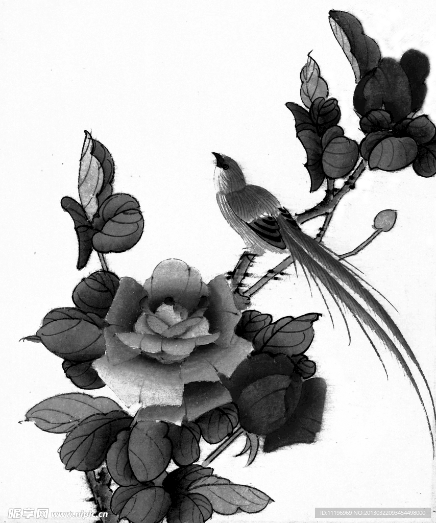 花鸟画