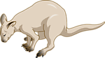 袋鼠