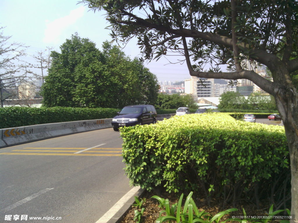公路春意