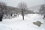 雪景