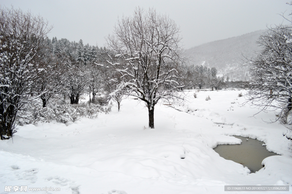 雪景