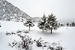 雪景摄影