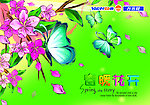 春暖花开