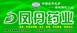 凤丹药业