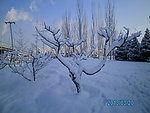 雪景