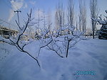 雪景