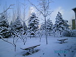雪景