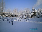 春雪