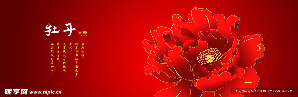 牡丹 花