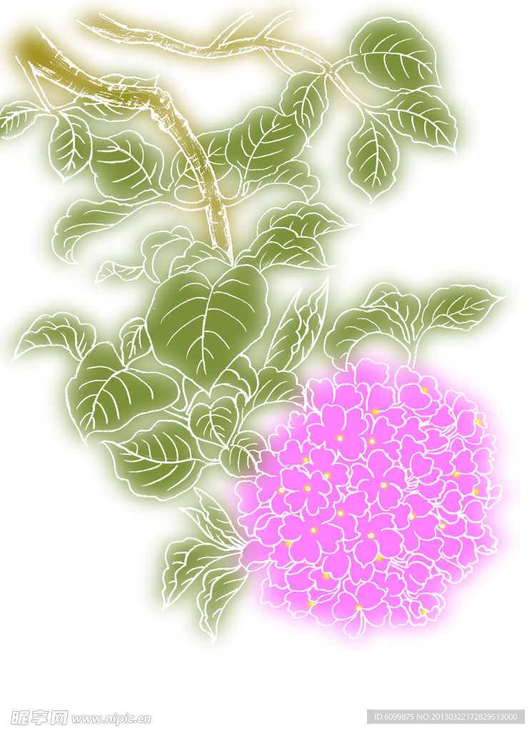 绣球