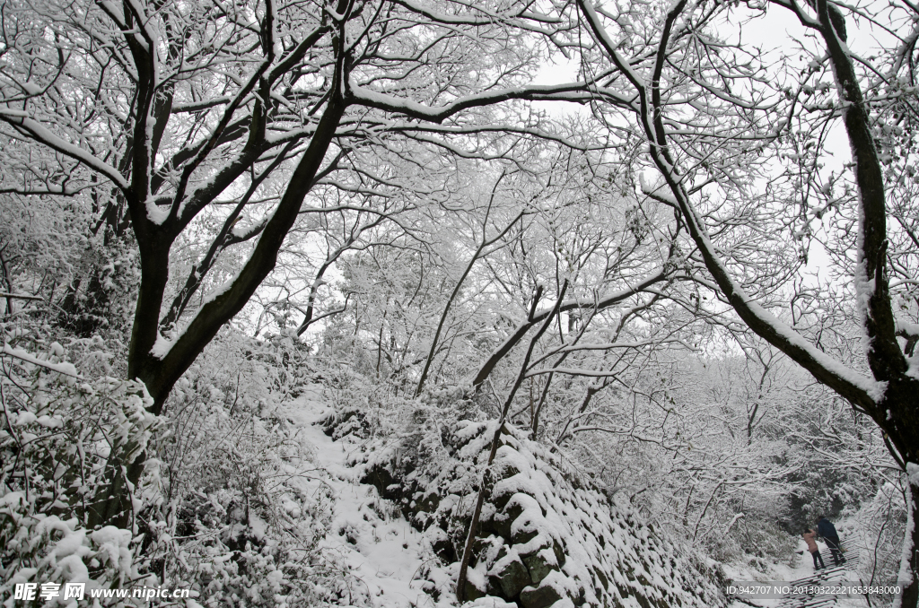 山中雪景