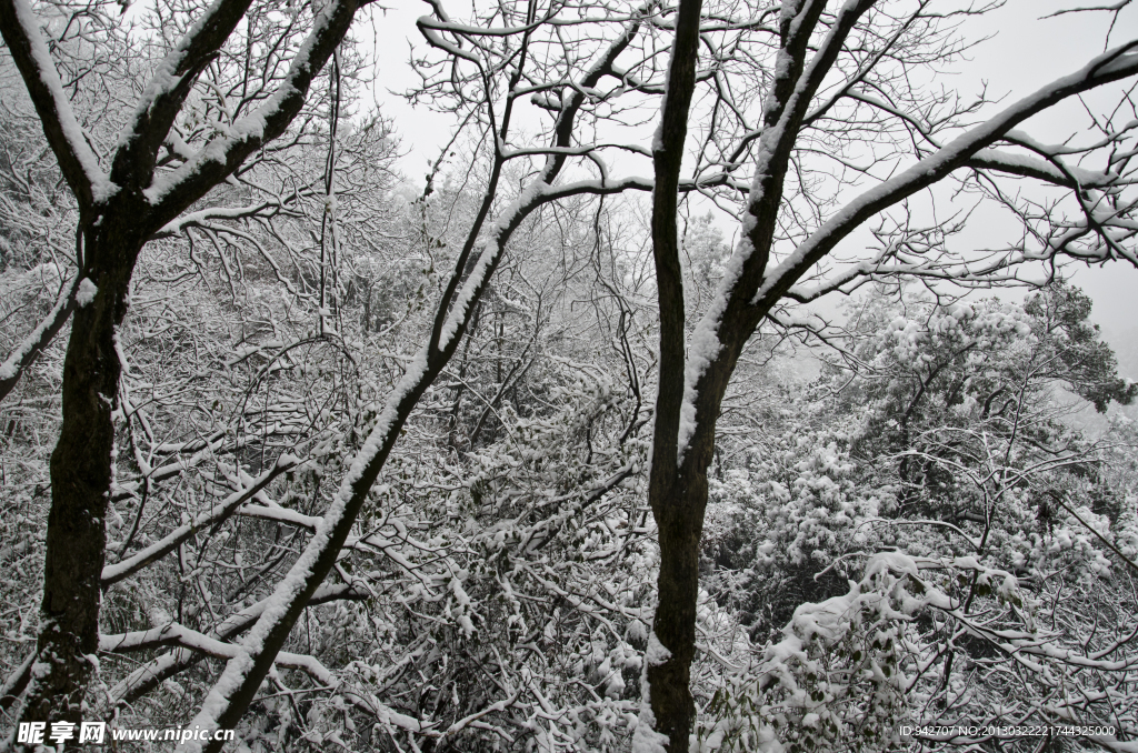 雪景