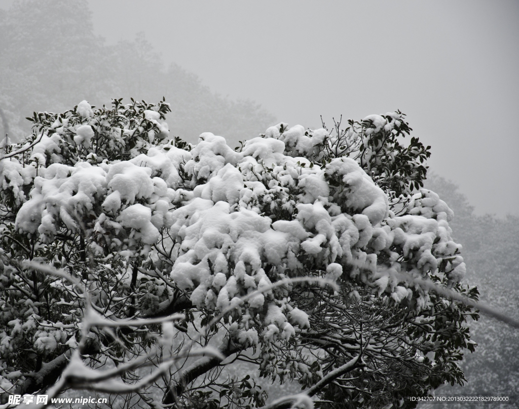 雪景