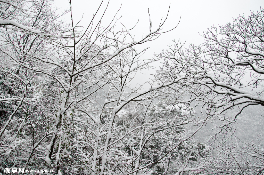 雪景