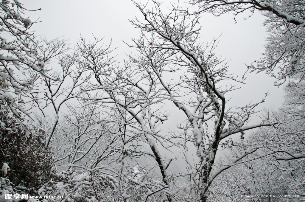 雪景