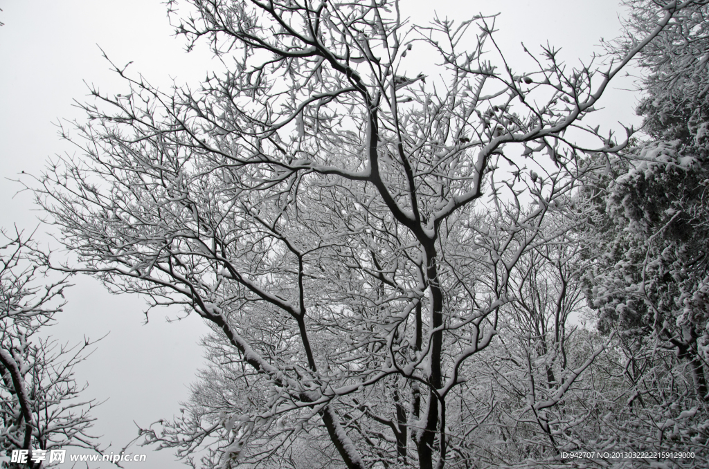 雪景