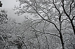 雪景