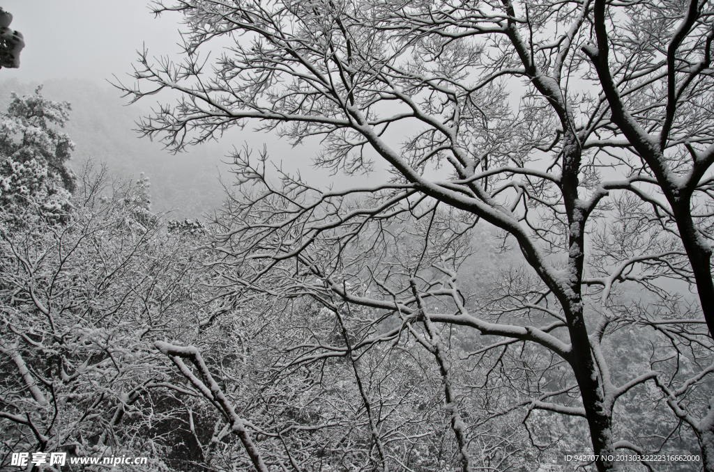 雪景