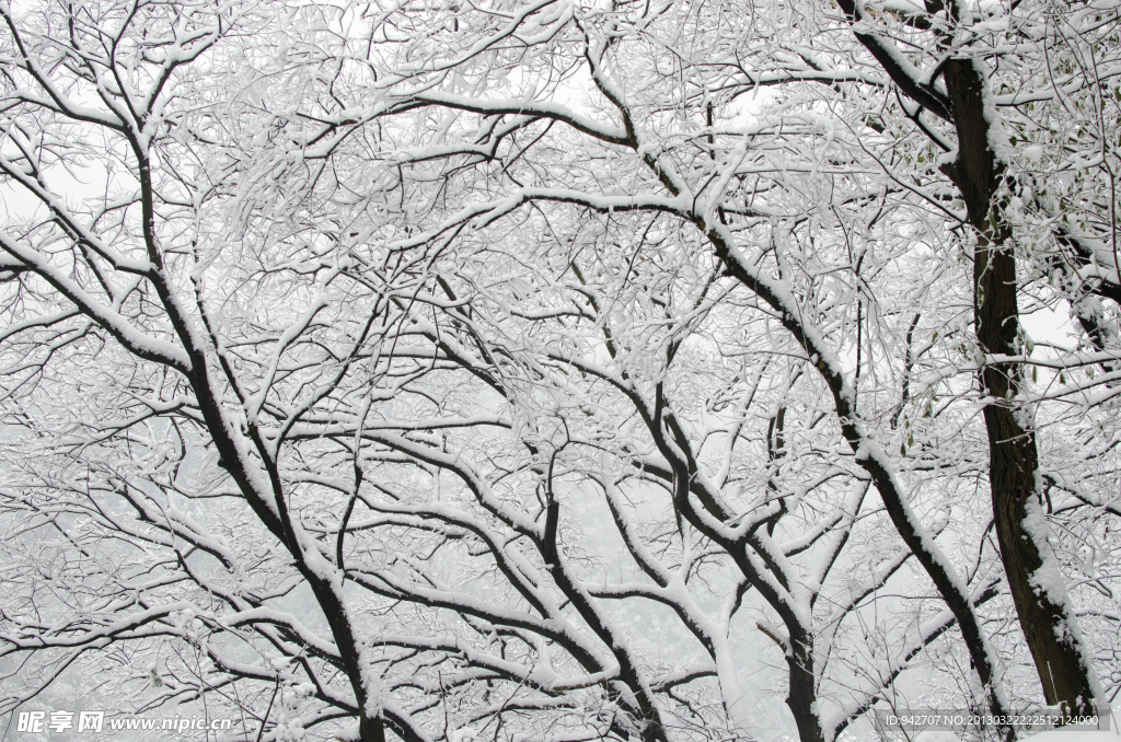 雪景