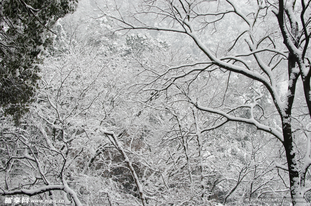 雪景