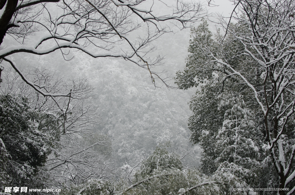 雪景