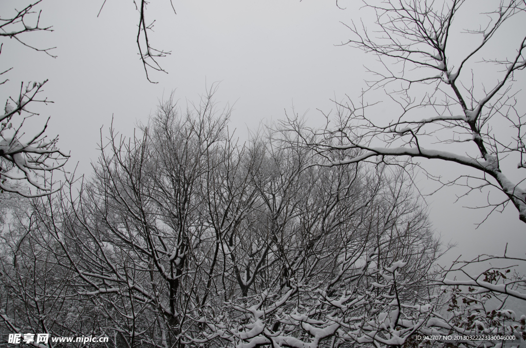 雪景