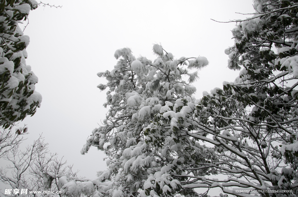雪景