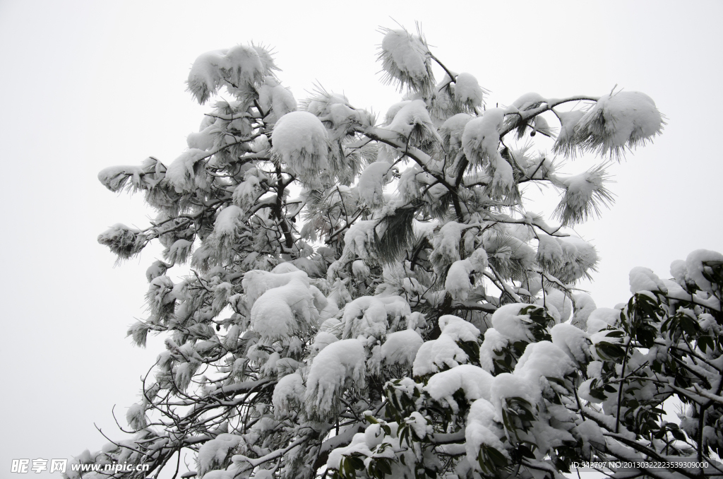 雪景