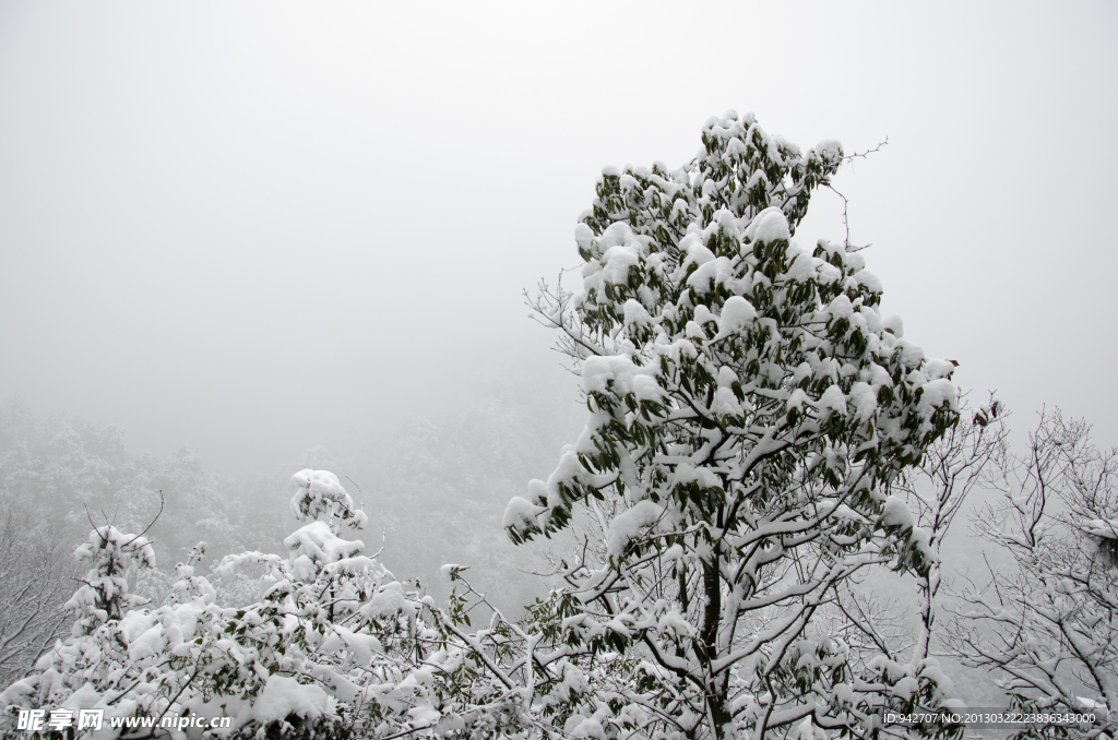 雪景