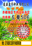 种业