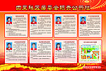 选举