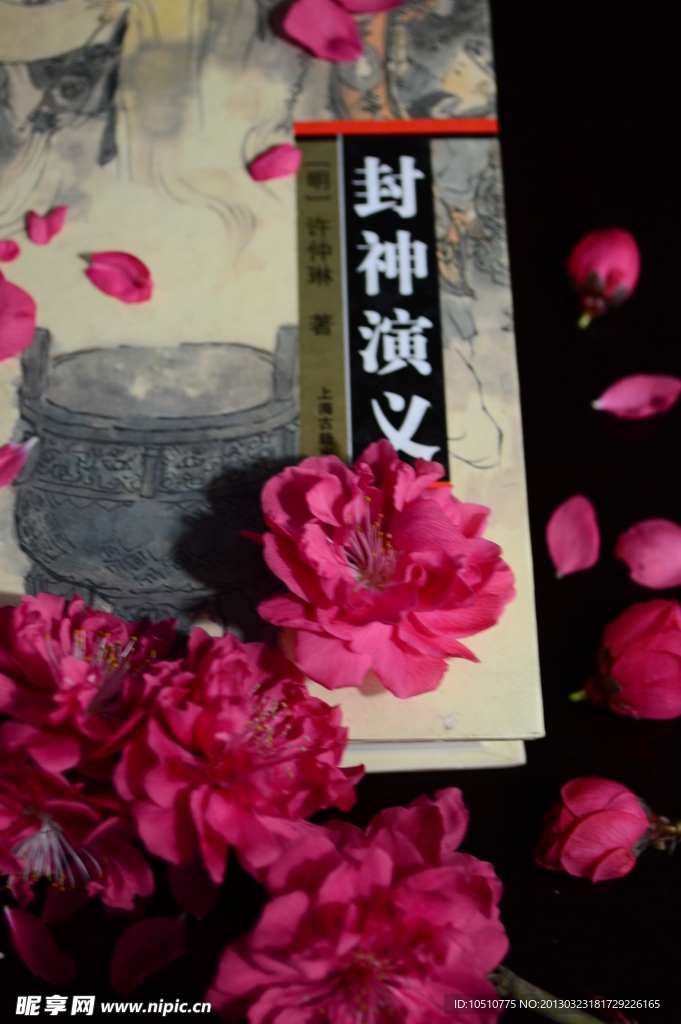 桃花 书