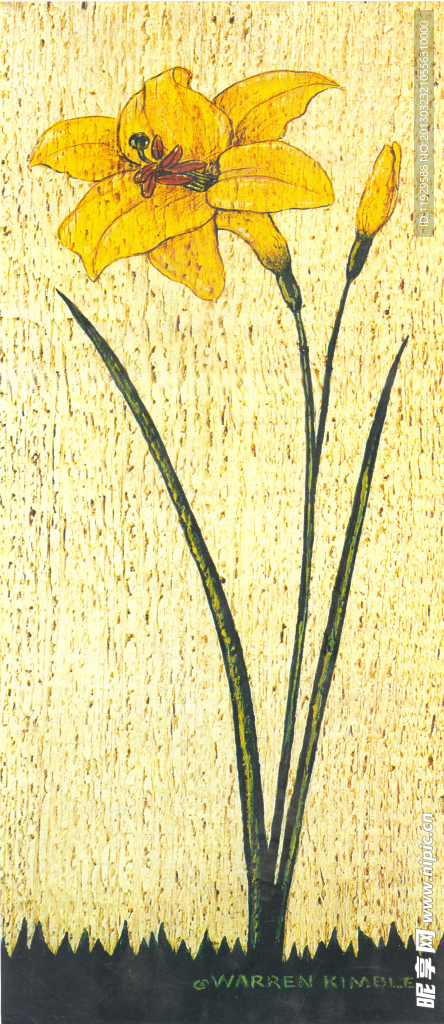 花卉