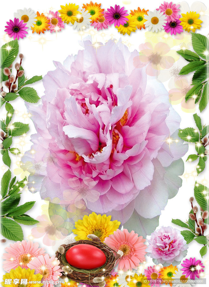 美丽的花