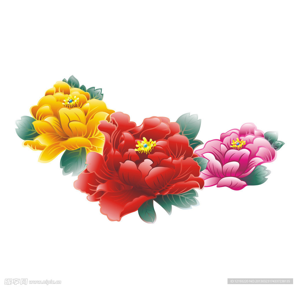 牡丹花矢量图